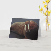 Het Wenskaart van walrussen Kaart (Gele Bloem)