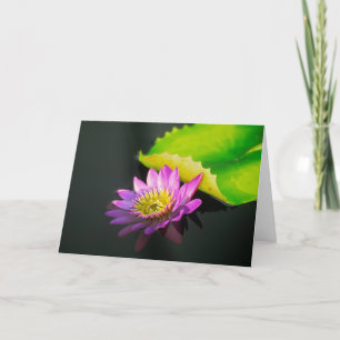 Het Wenskaart van Waterlily Kaart