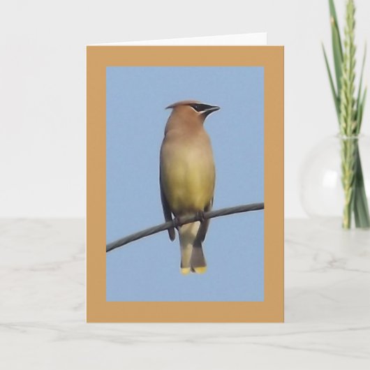 Het Wenskaart van Waxwing van de ceder Kaart (Voorkant)