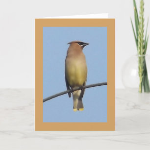 Het Wenskaart van Waxwing van de ceder Kaart