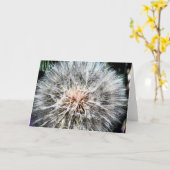 Het Wenskaart van Whisps van de paardebloem Kaart (Gele Bloem)