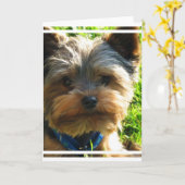 Het Wenskaart van Yorkshire Terrier Kaart (Gele Bloem)