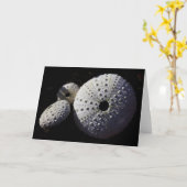 Het Wenskaart van zeeëgels Kaart (Gele Bloem)