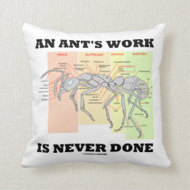 Het werk van een mier wordt nooit gedaan (anatomie kussen