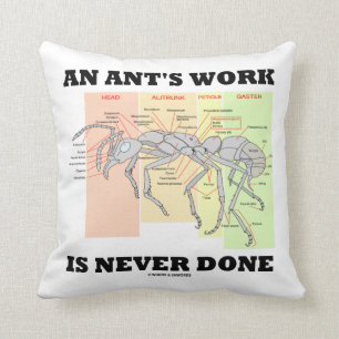Het werk van een mier wordt nooit gedaan (anatomie kussen