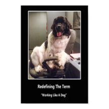 Het werken als een Poster van de Hond