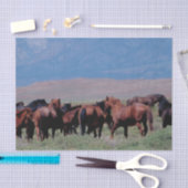 Het Westen van wild paarden uit Tissuepapier (Craft)
