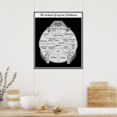 Het wiel van het Poster voor cyclische aanwezighei (Keuken)