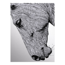 Het Wild Minimalist Line Art Horse Foto Afdruk