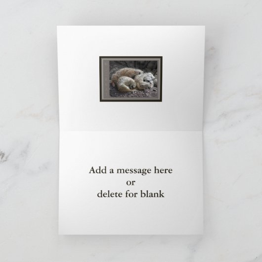 Het Wild van Meerkat Bedankkaart (Binnen)