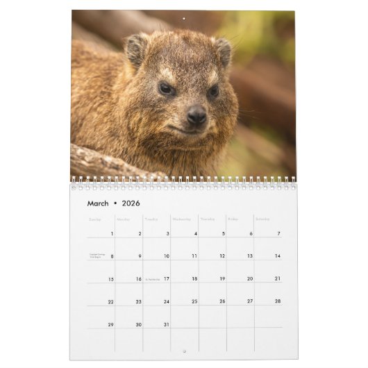 Het wilde leven van Zuid-Afrika 2025 Kalender (Mar 2026)