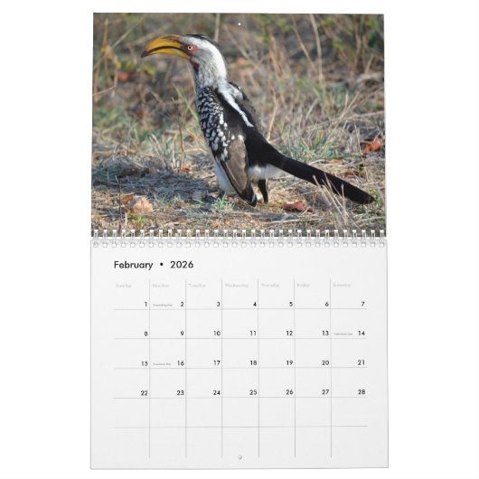 Het wilde leven van Zuid-Afrika 2025 Kalender (Feb 2026)