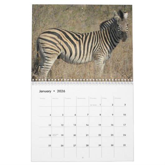 Het wilde leven van Zuid-Afrika 2025 Kalender (Jan 2026)