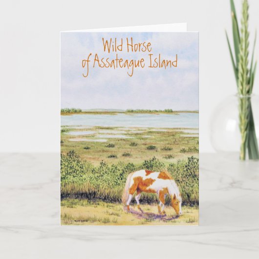 Het wilde paard van Assateague Island Kaart (Voorkant)
