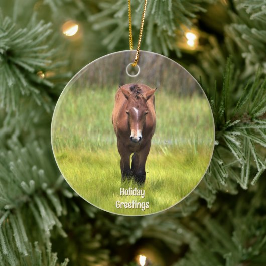Het wilde paard van Assateague Keramisch Ornament (Boom)