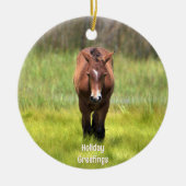 Het wilde paard van Assateague Keramisch Ornament (Voorkant)