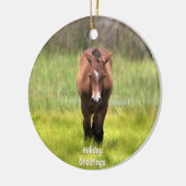 Het wilde paard van Assateague Keramisch Ornament (Links)