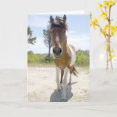 Het Wilde Pony van Assateague Kaart (Gele Bloem)
