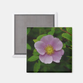 Het wilde Roze nam toe Magneet (Voorkant / Achterkant)