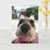 Het willekeurige Wenskaart van het Hallo Kaart (Gele Bloem)