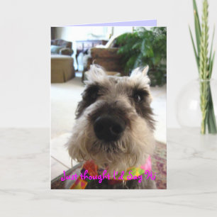 Het willekeurige Wenskaart van het Hallo Kaart