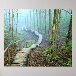 Het winden Wooden Stairs door de Bossen Poster