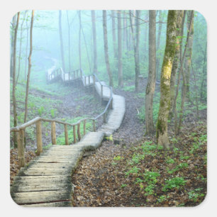 Het winden Wooden Stairs door de Bossen Vierkante Sticker
