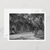 Het winkelcentrum in het centrale park in New York Briefkaart (Voorkant / Achterkant)