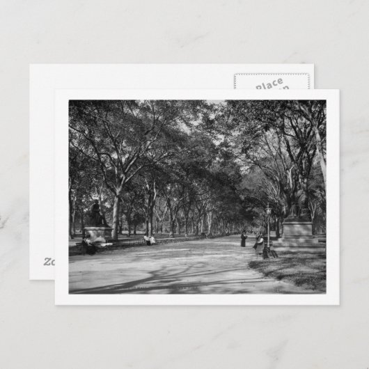 Het winkelcentrum in het centrale park in New York Briefkaart (Voorkant / Achterkant)