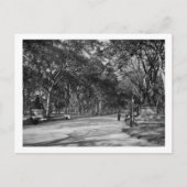 Het winkelcentrum in het centrale park in New York Briefkaart (Voorkant)