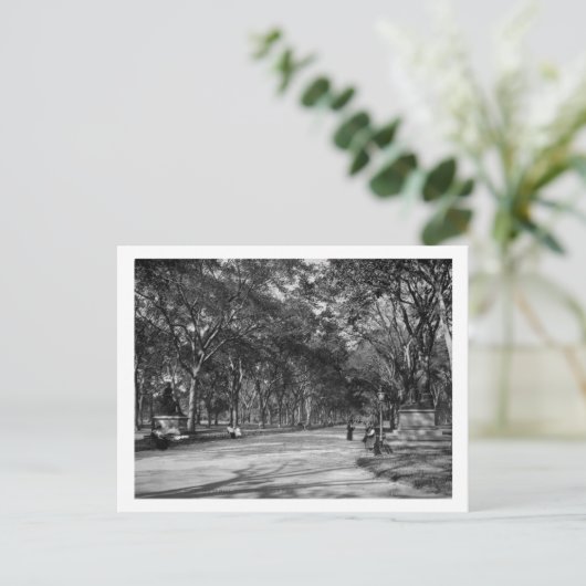 Het winkelcentrum in het centrale park in New York Briefkaart (Staand voorkant)