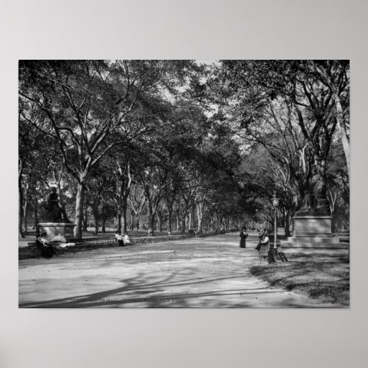 Het winkelcentrum in het centrale park in New York Poster (Voorkant)