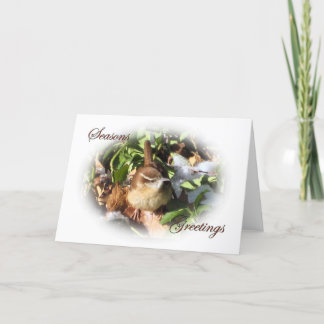 Het Winterkoninkje van de winter Feestdagen Kaart