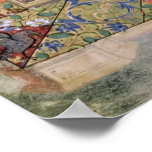 Het Wisdom van Solomon Poster (Hoek)