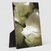 Het wit nam de BloemenTuinen van het Lot van Bloes Fotoplaat (Zijkant)