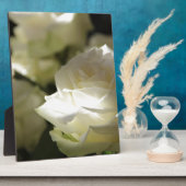 Het wit nam de BloemenTuinen van het Lot van Bloes Fotoplaat (Zijkant)