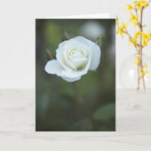 Het wit nam Kaart toe (Gele Bloem)