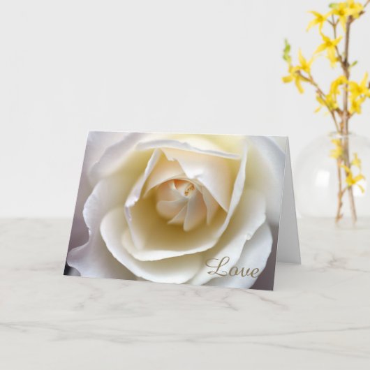 Het wit nam Liefde toe Kaart (Gele Bloem)