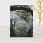 Het wit van de Kaart van de sympathie nam unieke (Gele Bloem)