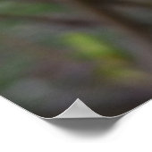 Het wit van de lente poster (Hoek)