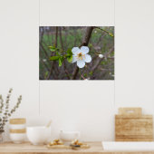 Het wit van de lente poster (Keuken)