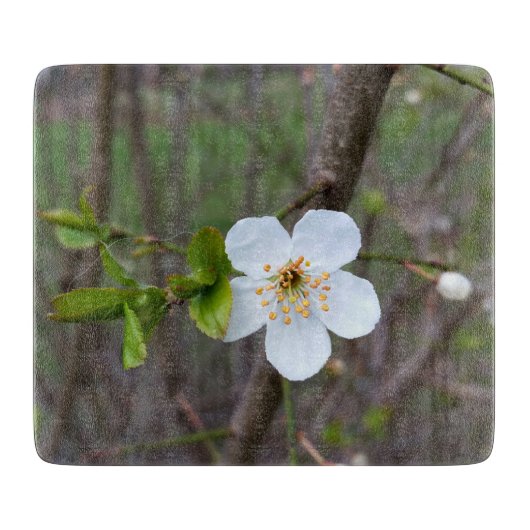 Het wit van de lente snijplank (Voorkant)