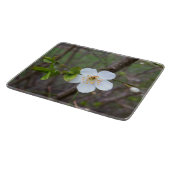Het wit van de lente snijplank (Hoek)