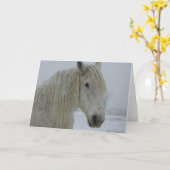 Het Wit van de winter Kaart (Gele Bloem)