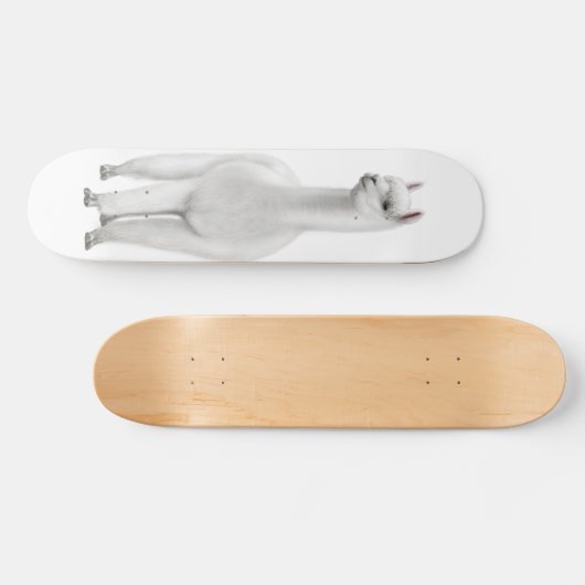 Het witte alpaca skateboard (Horizontaal)
