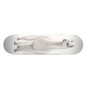 Het witte alpaca skateboard