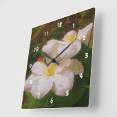 Het witte Art. van de Bloem van Clematissen Vierkante Klok (Hoek)