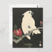 Het witte Briefkaart van de Kunst van de Kaketoe (Voorkant / Achterkant)