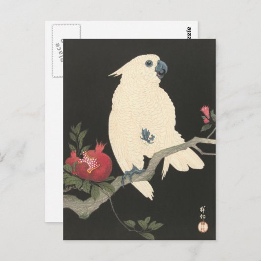 Het witte Briefkaart van de Kunst van de Kaketoe (Voorkant / Achterkant)