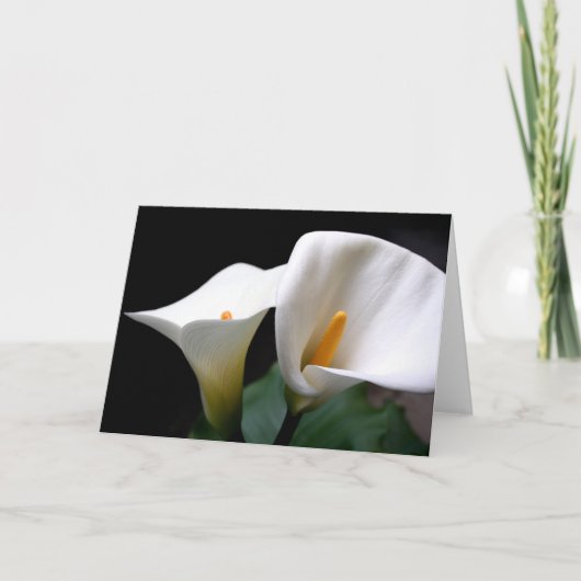 Het witte Calla Wenskaart van de Bloem van de Kaart (Voorkant)